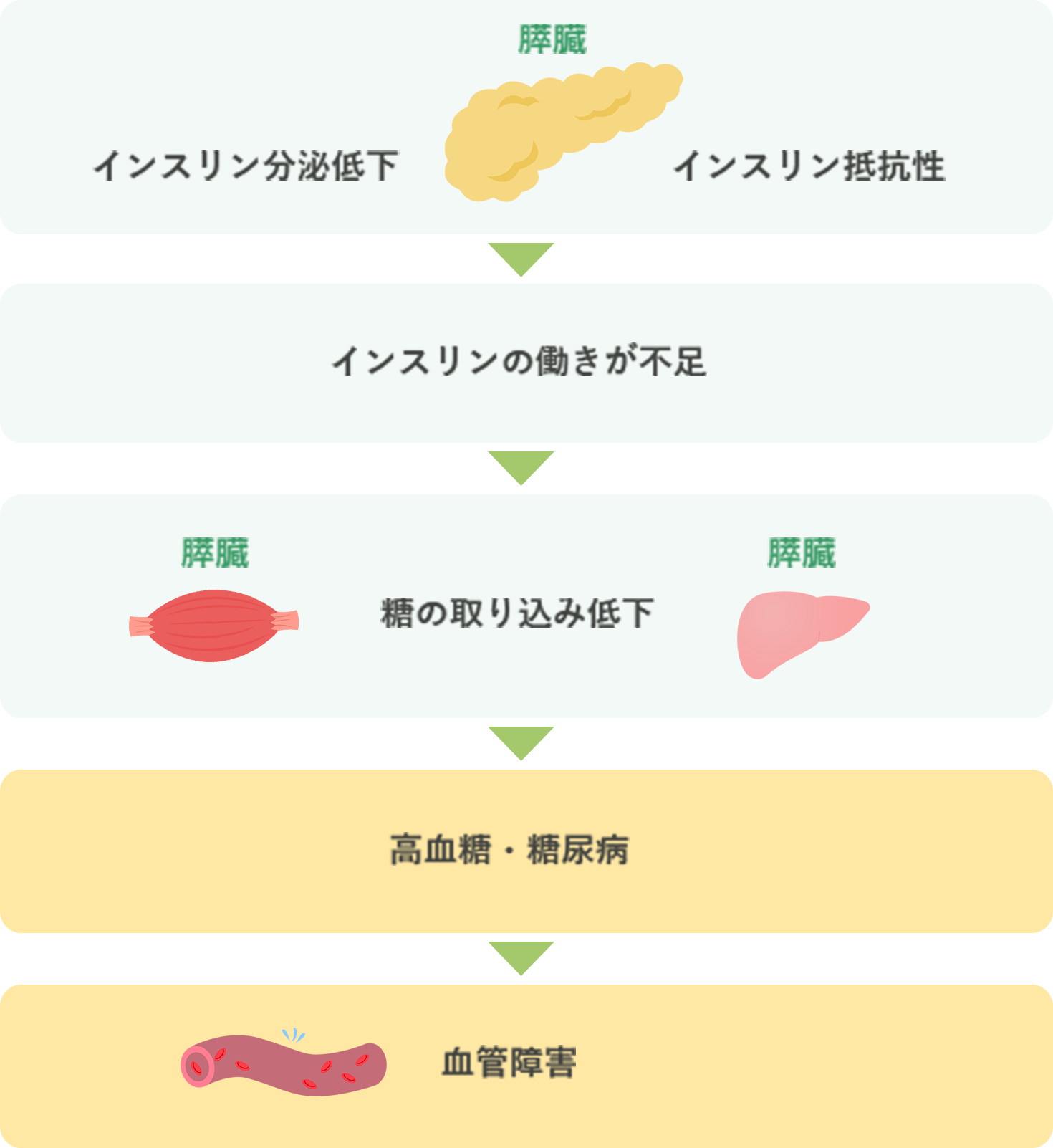 1型糖尿病の説明イラスト